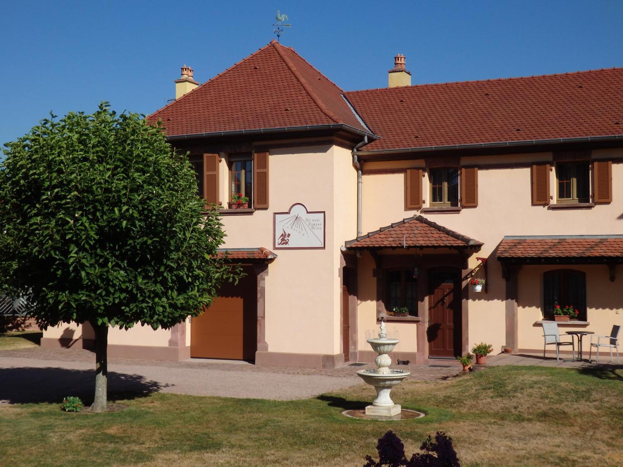 La Demeure Flieg Bed & Breakfast Cernay  Exterior photo